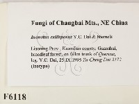 登錄號:F0006118藏品圖，第2張