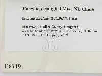 登錄號:F0006119藏品圖，第2張