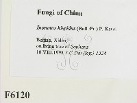 登錄號:F0006120藏品圖，第2張