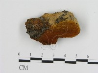 登錄號:F0006120藏品圖，第1張