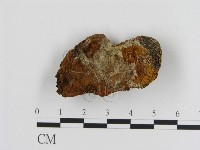 登錄號:F0006120藏品圖，第3張