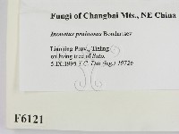 登錄號:F0006121藏品圖，第2張