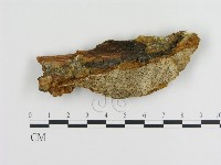 登錄號:F0006121藏品圖，第1張