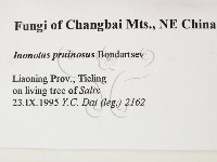 登錄號:F0006122藏品圖，第2張