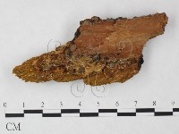 登錄號:F0006122藏品圖，第1張