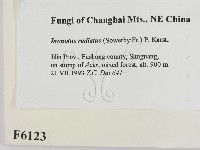 登錄號:F0006123藏品圖，第2張