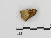 登錄號:F0006124藏品圖，第1張