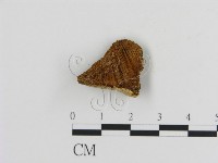 登錄號:F0006124藏品圖，第3張