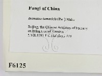 登錄號:F0006125藏品圖，第2張