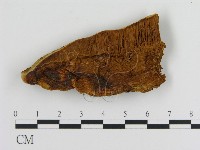 登錄號:F0006125藏品圖，第1張