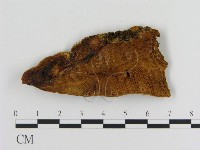 登錄號:F0006125藏品圖，第3張