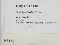 登錄號:F0006127藏品圖，第2張
