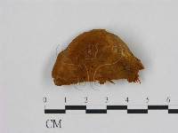 登錄號:F0006127藏品圖，第1張