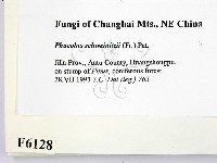 登錄號:F0006128藏品圖，第2張