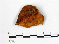 登錄號:F0006128藏品圖，第1張