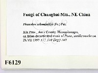 登錄號:F0006129藏品圖，第2張