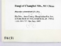 登錄號:F0006131藏品圖，第2張