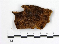 登錄號:F0006131藏品圖，第1張