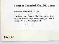 登錄號:F0006132藏品圖，第2張