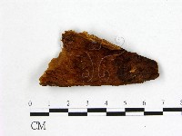 登錄號:F0006132藏品圖，第1張