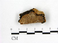 登錄號:F0006133藏品圖，第1張