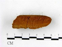 登錄號:F0006135藏品圖，第3張