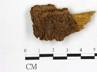 登錄號:F0006136藏品圖，第1張