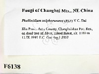 登錄號:F0006138藏品圖，第2張