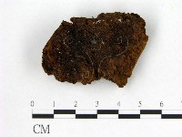 登錄號:F0006138藏品圖，第1張