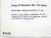 登錄號:F0006139藏品圖，第2張