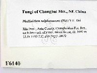 登錄號:F0006140藏品圖，第2張