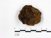 登錄號:F0006140藏品圖，第1張