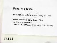 登錄號:F0006141藏品圖，第2張