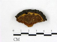 登錄號:F0006142藏品圖，第1張