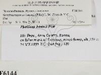 登錄號:F0006144藏品圖，第2張