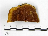 登錄號:F0006144藏品圖，第1張