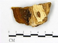 登錄號:F0006144藏品圖，第3張