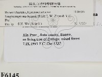 登錄號:F0006145藏品圖，第2張