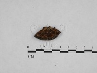 登錄號:F0006145藏品圖，第3張