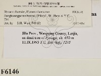 登錄號:F0006146藏品圖，第2張