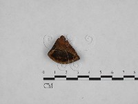 登錄號:F0006146藏品圖，第1張