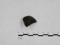 登錄號:F0006146藏品圖，第3張