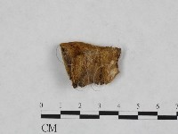 登錄號:F0006147藏品圖，第3張