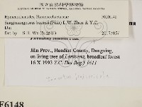 登錄號:F0006148藏品圖，第2張