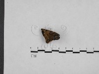 登錄號:F0006149藏品圖，第4張