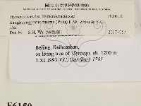 登錄號:F0006150藏品圖，第2張