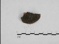 登錄號:F0006150藏品圖，第3張