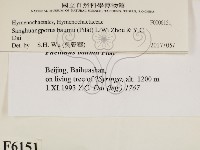登錄號:F0006151藏品圖，第2張