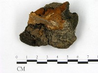登錄號:F0006151藏品圖，第3張