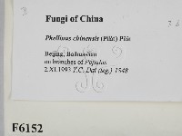 登錄號:F0006152藏品圖，第2張